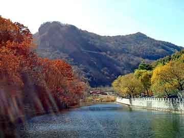 天天彩好彩天天免费，水泥地面裂缝